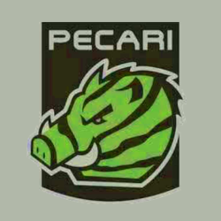 Pecari